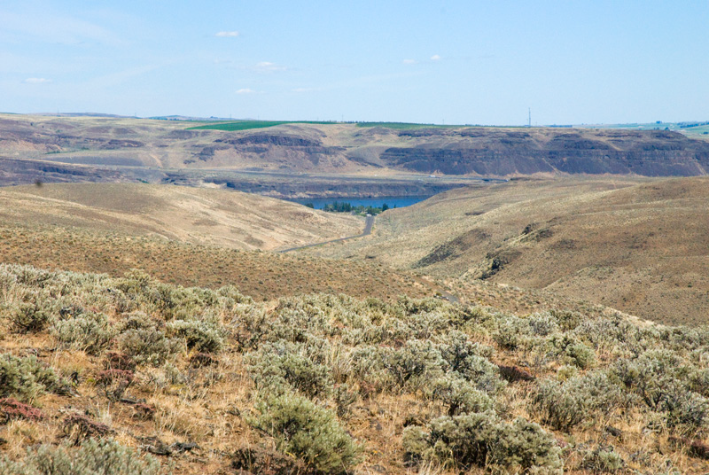 Landscape view of the Ginkgo Petrified Forest State Park in central Washington State