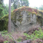 Waterman Erratic Boulder, Whidbey Island, WA