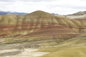 Cenozoic paleobotany of the John Day Basin, central Oregon.