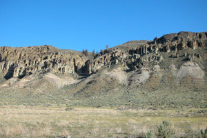 Early Middle Eocene McAbee Flora of Cache Creek, British Columbia